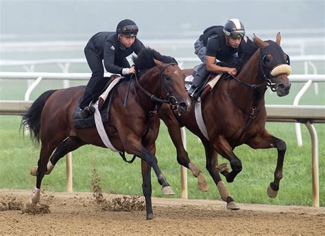 Horse Racing News Daily .